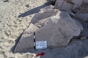 Piedra: 1616, Cara decorada: I