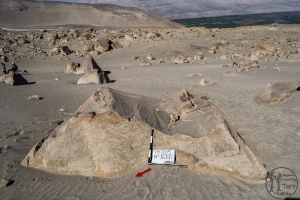 Piedra: 1618, Cara decorada: I