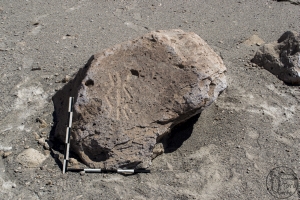Piedra: 1624, Cara decorada: I