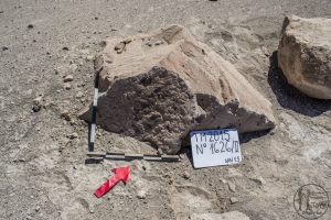 Piedra: 1626, Cara decorada: II