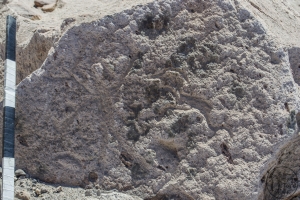 Piedra: 1626, Cara decorada: II
