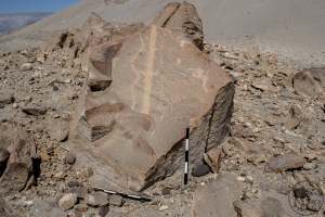 Piedra: 1631, Cara decorada: I