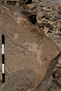 Piedra: 1631, Cara decorada: I