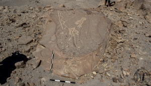 Piedra: 1632, Cara decorada: I