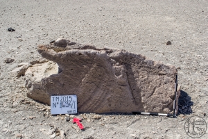 Piedra: 1634, Cara decorada: I