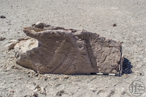 Piedra: 1634, Cara decorada: I