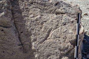 Piedra: 1634, Cara decorada: I