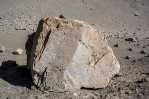 Piedra: 1638, Cara decorada: II