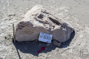 Piedra: 1639, Cara decorada: II