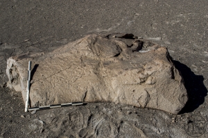 Piedra: 1639, Cara decorada: I