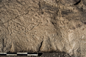 Piedra: 1639, Cara decorada: I