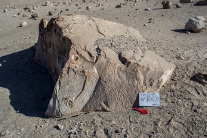 Piedra: 1642, Cara decorada: II