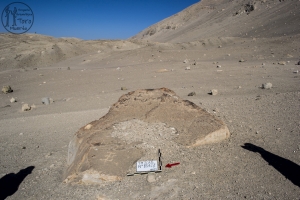 Piedra: 1642, Cara decorada: I