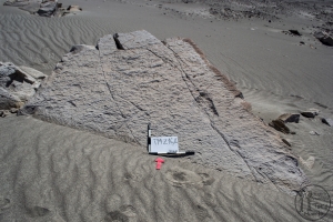 Piedra: 1648, Cara decorada: I