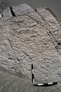 Piedra: 1648, Cara decorada: I