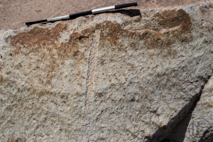 Piedra: 1658, Cara decorada: III