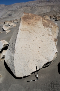 Piedra: 1658, Cara decorada: II