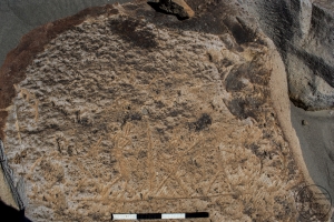 Piedra: 1660, Cara decorada: I