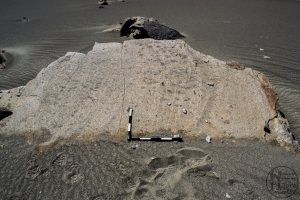 Piedra: 1663, Cara decorada: I